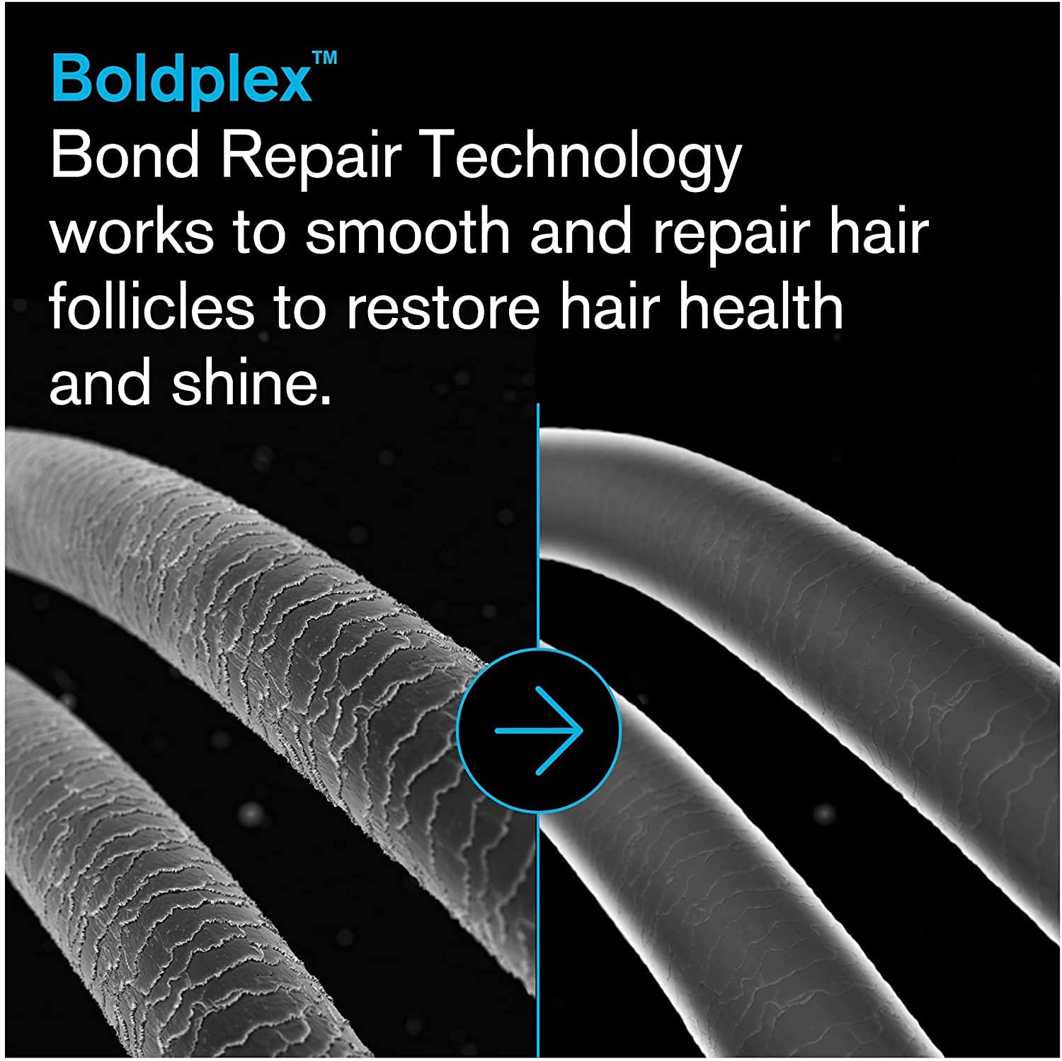 BoldPlex 4 Bond Strengthening Shampoo